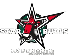 Starbulls App TechStack - Flutter, Firebase & Google Cloud